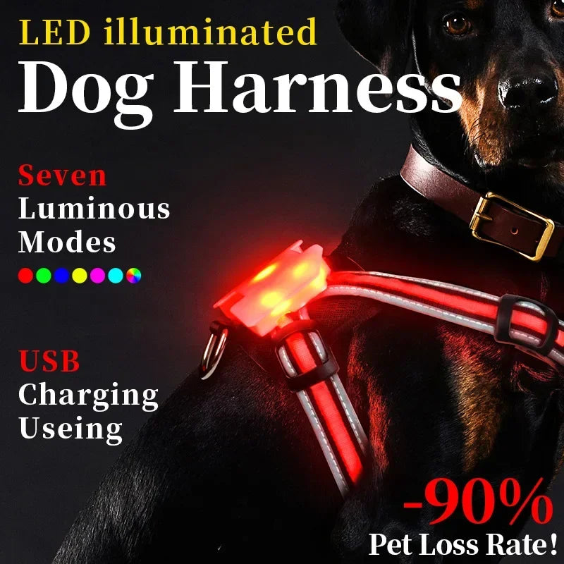 LED Dog Harness