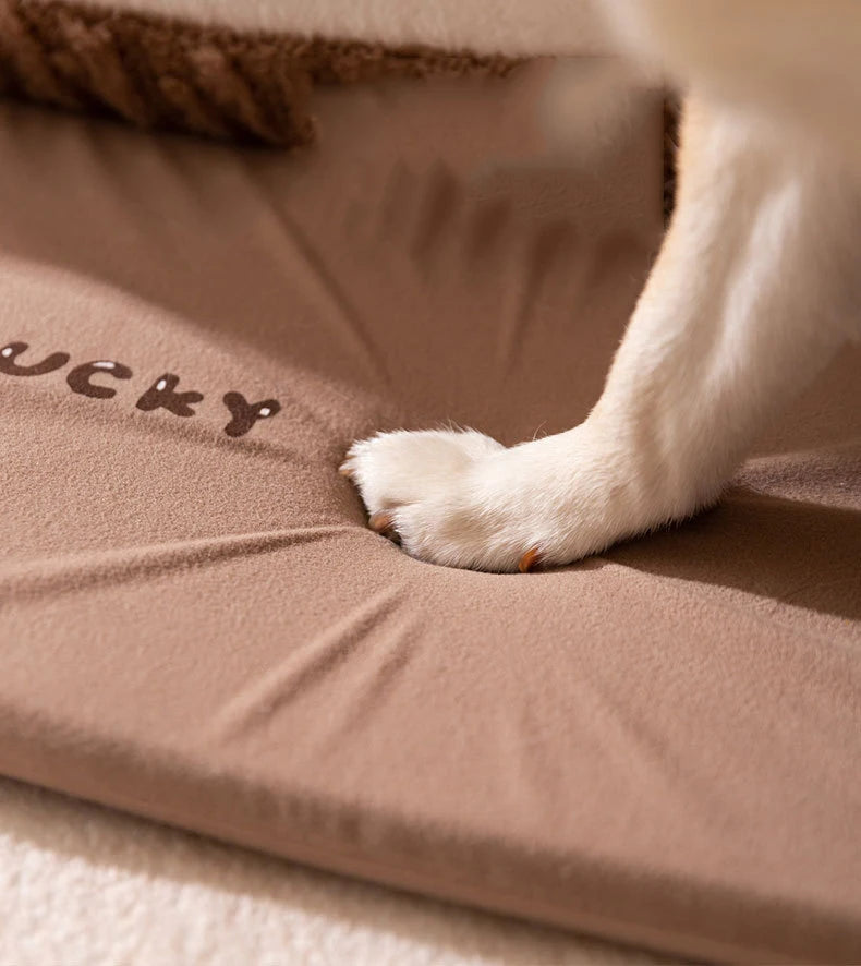 Winter Dog Kennel House