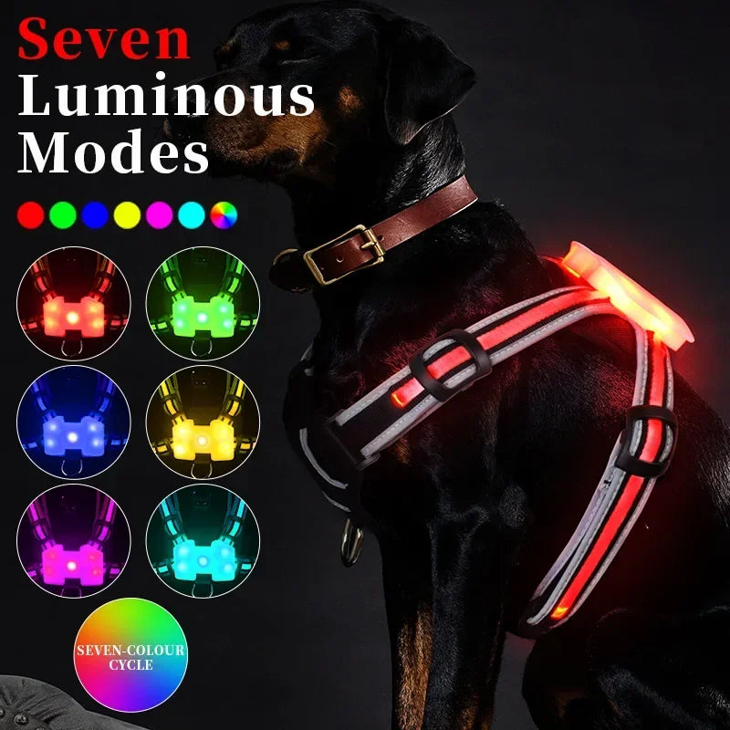 LED Dog Harness